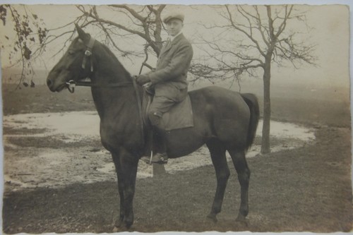 Foto junger mann pferd - junger, 20er
