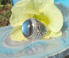 Ω Ring französische Lilie