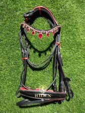 Dressur Leder Trense Red Stone