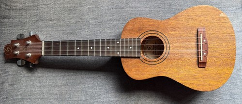 Samick greg bennett design - samick,