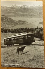 AK Vitznau - Rigi- Bahn schweizerische Normalspur-Zahnradbahn 1953 Kuh Bahn