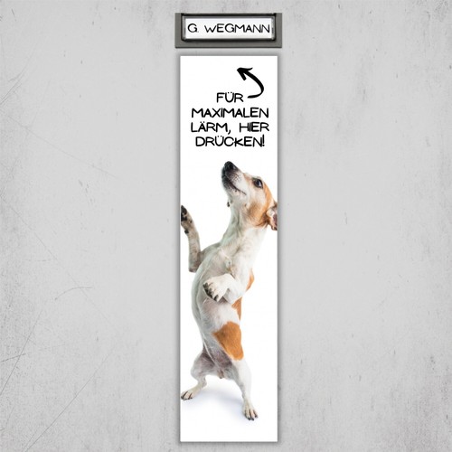 Jack russell terrier - jack,