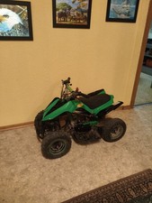 Mini Quad ATV Kinder 2 Takt