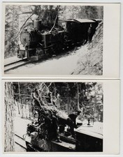 SKGLB, 2 Abzüge 8 x 14, 1955-56 ist ein Baum auf die Lok gestürzt