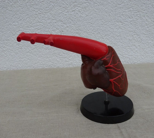 Modell lehrmodell ddr - modell,