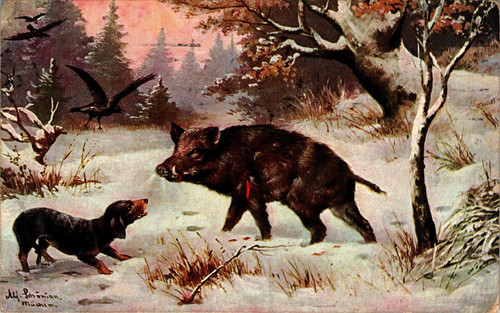 Winter jagd jäger tiere - jÄger,