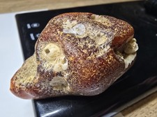 Bernstein Nordsee 34,1 Gramm 