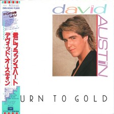 David Austin - Turn To Gold
