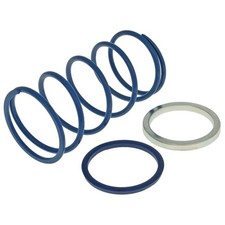 Wandler Polini Evo-Slider Gegendruckfeder +10% – Variomatik Tuning für Minarelli