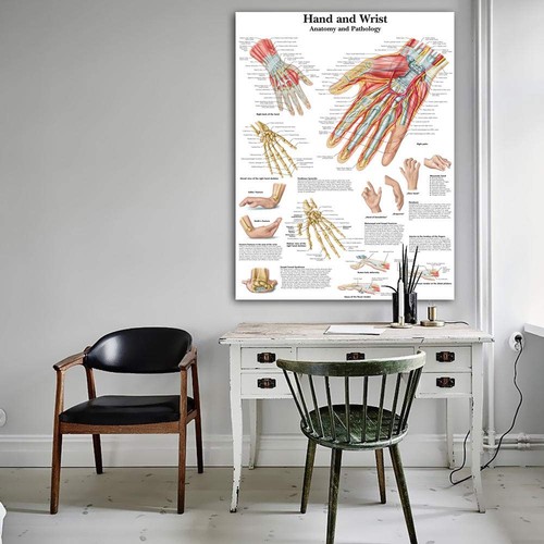 Druck anatomie hand - hd-druck,