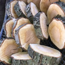 Baumscheiben Holzscheiben