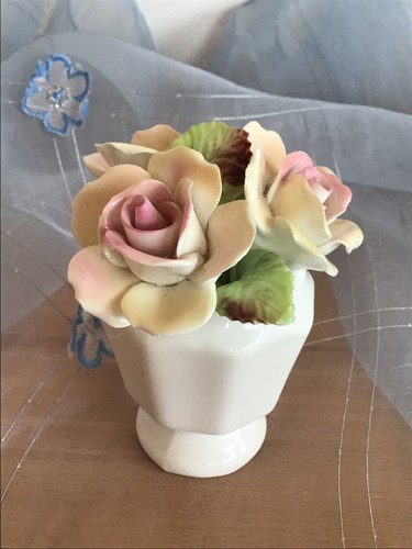 Paridom exclusive rosen - exclusive,
