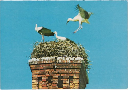 Postkarte ansichtskarte winsen - postkarte,