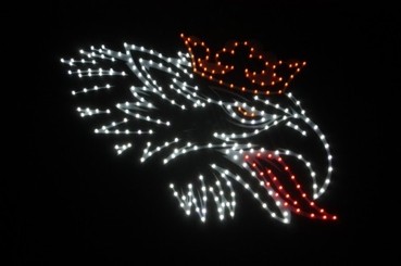 Led lkw truckerschild - led,
