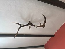 Selbstgebaute LED Lampen Aus Geweihstangen