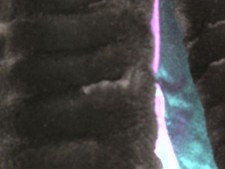 belson cd changer cd changer