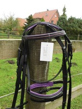 Schicke Trense aus Leder  Top Qualität Gr. Mini- Shetty lila unterlegt