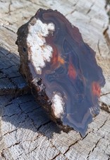 Achat.aus Sammlung. Canon