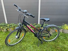 Pegasus fahrrad zoll in - fahrrad,