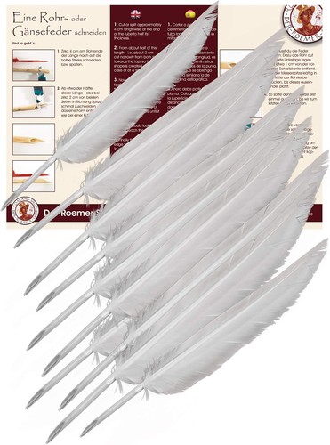 Feder zum schreiben stk - 10,