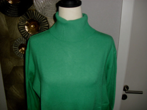 Rollkragenpullover rolli - /,