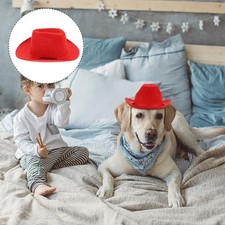 Hund hut hunde - hut, halloween