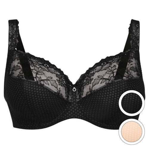 Rosa faia eloise damen - faia,