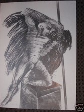 Rainer Fietzek Zeichnung