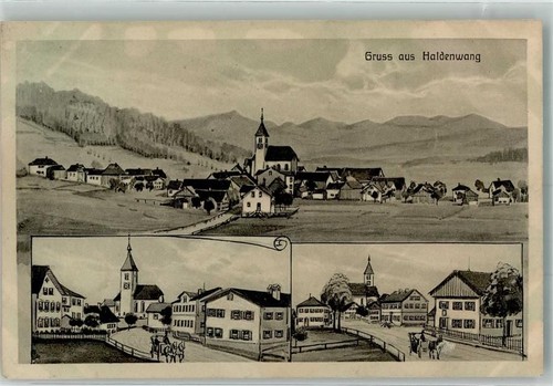87490 w8961 haldenwang - haldenwang,