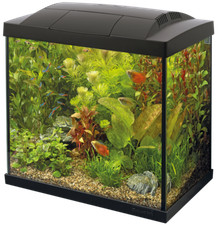 Tropical 30 Aquarium schwarz inkl.Filter,Heizer,Kescher,Thermometer,Futter usw.