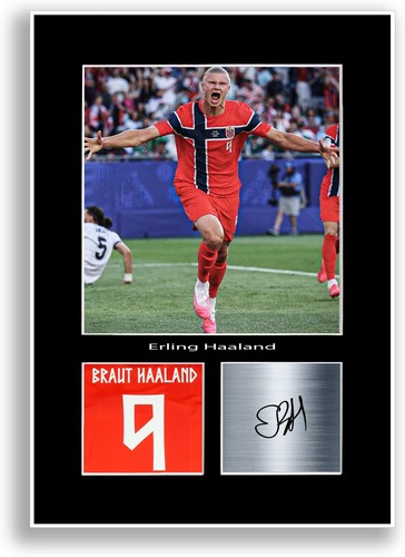 Erling haaland norwegen - haaland,