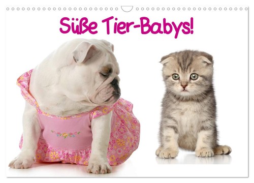 Süße tier babys - süße, tier-babys