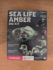 Eduman Sea Life Amber Dig Kit