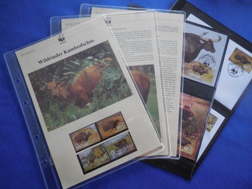 Wildrinder kambodschas - wildrinder,