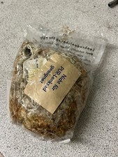 L1 Lenkradbezug IFA DDR