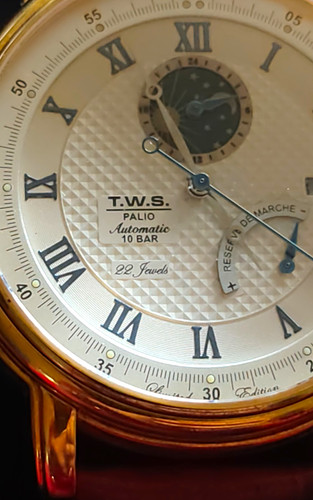 Palio automatik uhr 10 - t.w.s.,