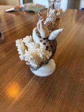 Vintage Muschel-Deko Set + 6