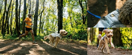 Ruffwear swamp cooler - ruffwear,