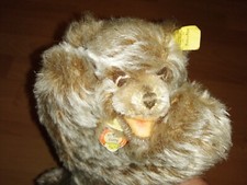 Steiff Floppy Zotty Bär 17cm