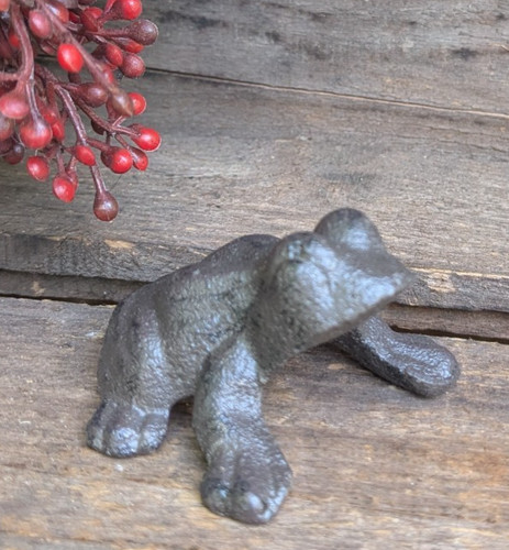 Süßer kleiner frosch - kleiner,