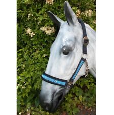 Eskadron Halfter Classic