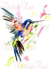 Kolibri Blumen aquarell