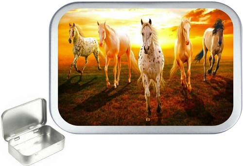 Horse sunset kleine tabakdose - sunset,,