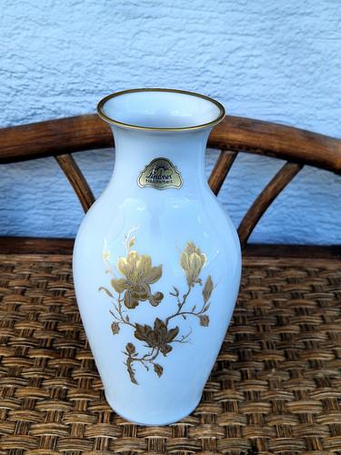 Alte lindner magnolie - magnolie, w