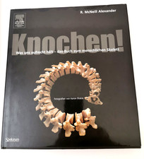 Fachbuch über das menschliche Skelett - Knochen!, gebraucht