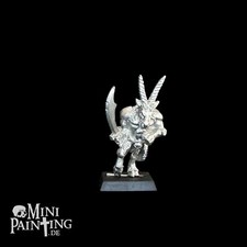 Warhammer Fantasy Tiermenschen