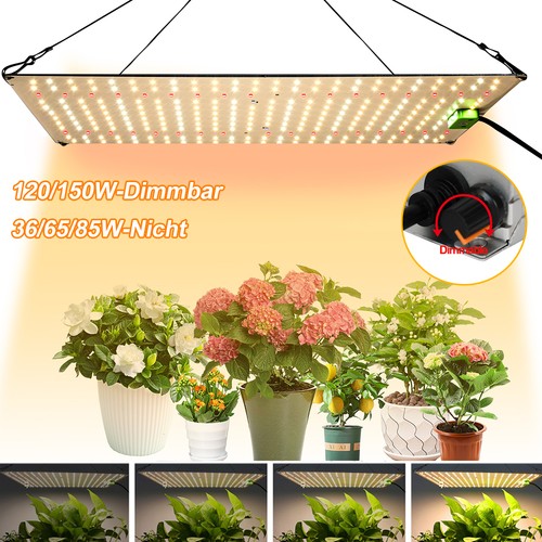 Vollspektrum led grow lampe - vollspektrum,