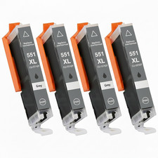 4 Tintenpatronen grau