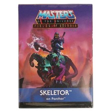 Skeletor on Panthor - Masters