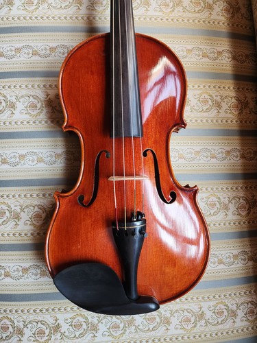 Schöne viola cm satter - 39,5,